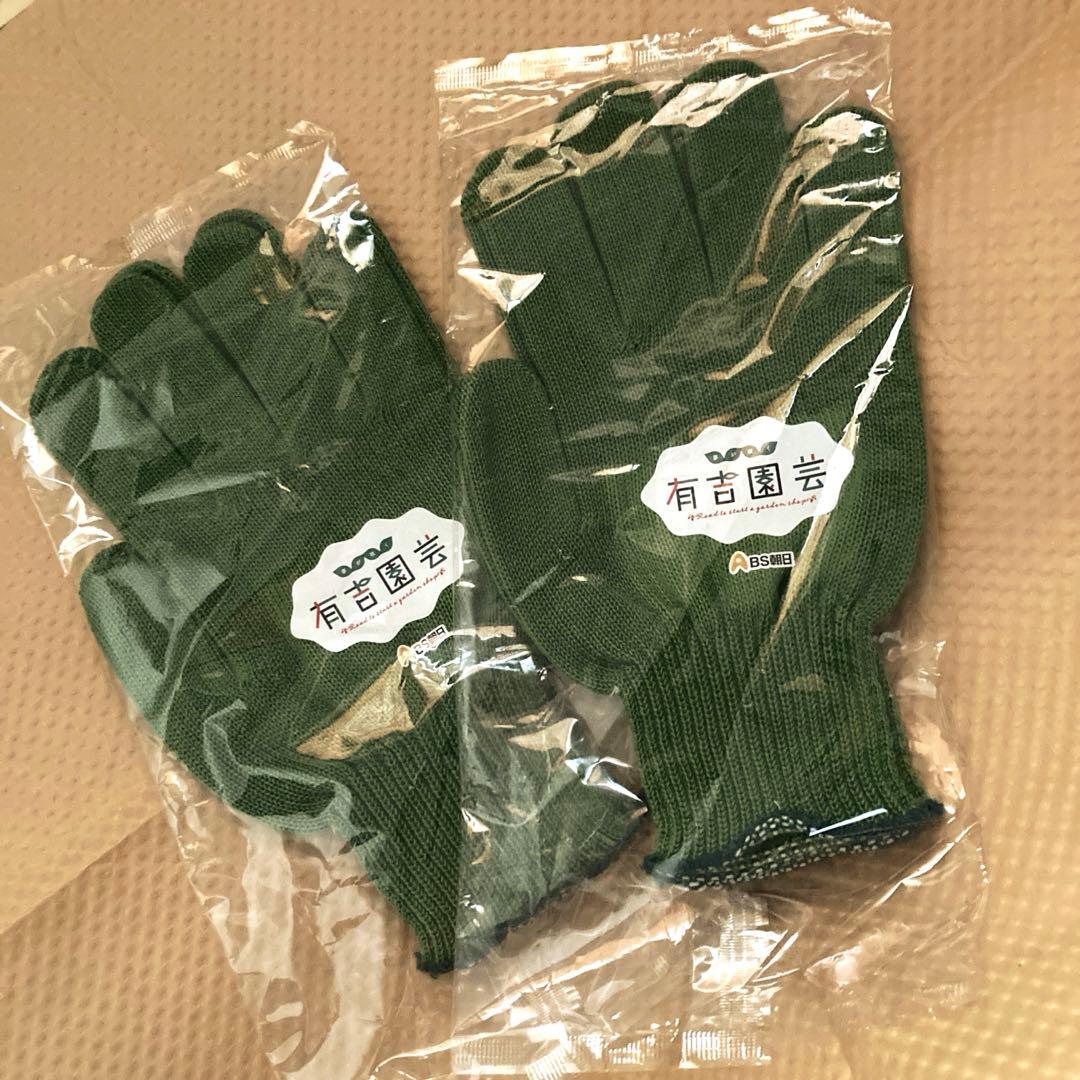 BS Asahi Akiyoshi Garden 2 pcs Logo Gloves Moss Green Unused Not for Sale