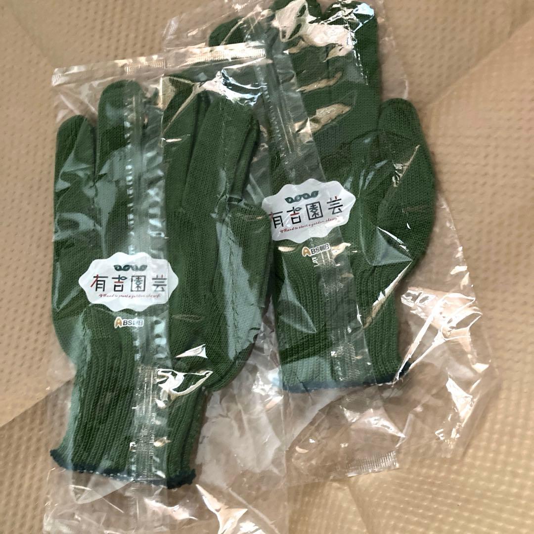 BS Asahi Akiyoshi Garden 2 pcs Logo Gloves Moss Green Unused Not for Sale